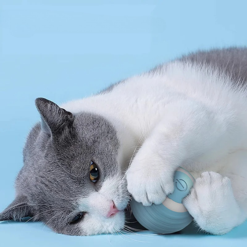 猫用インタラクティブボール、スマートキャットトイ、ペット用室 - Electronics Gadgets Wholesale のレビューと価格